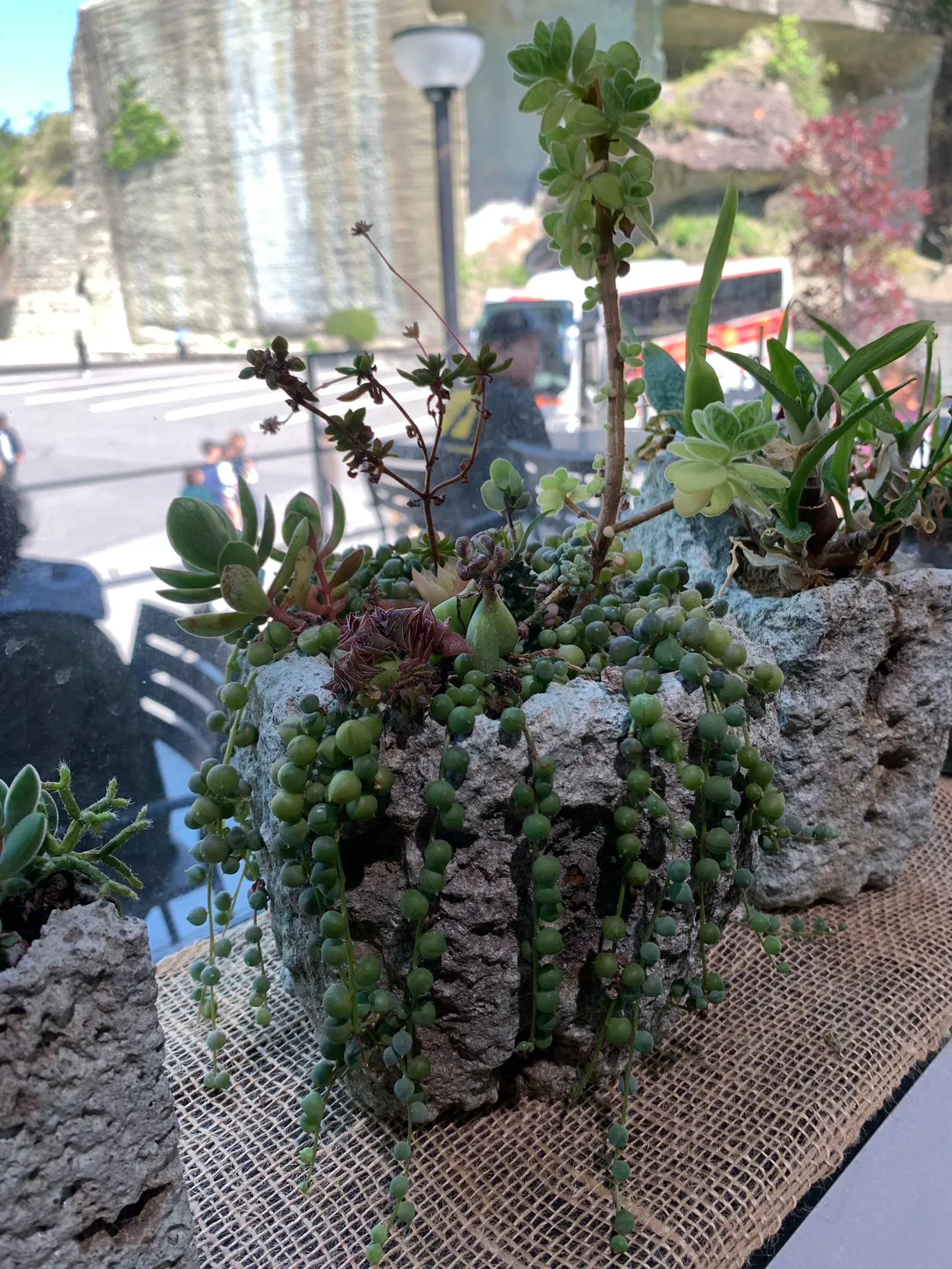 ROCKSIDE MARKETの店内