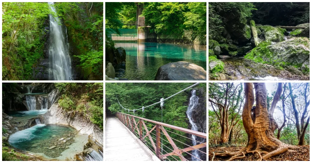 関東近郊の夏に涼しい沢沿い登山コース6選（滝・渓谷・原生林のコラージュ）