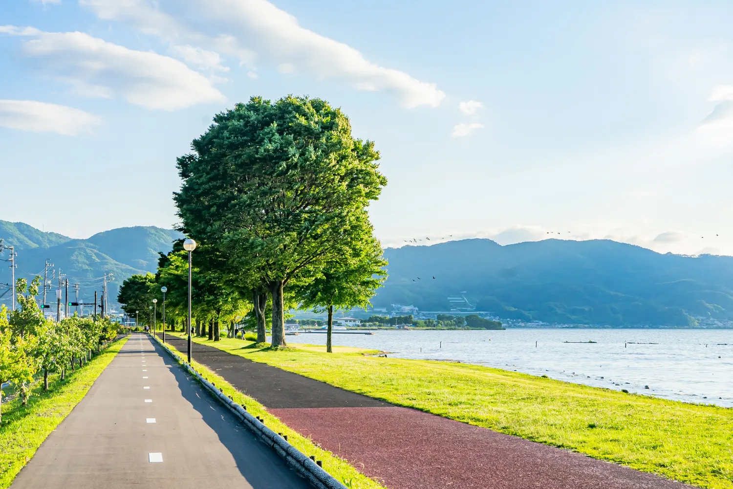 諏訪湖畔のサイクリングロード