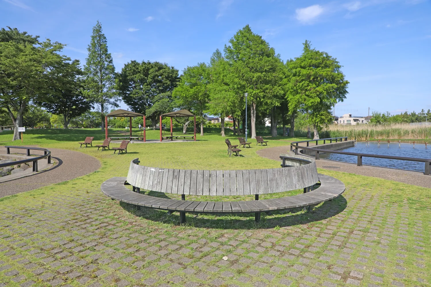 手賀沼公園の芝生広場とベンチ