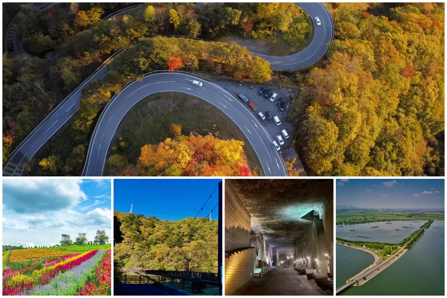 栃木サイクリング5エリア（いろは坂の紅葉・那須高原の花畑・鬼怒川の大吊橋・大谷資料館の地下空間・ハート型の谷中湖）