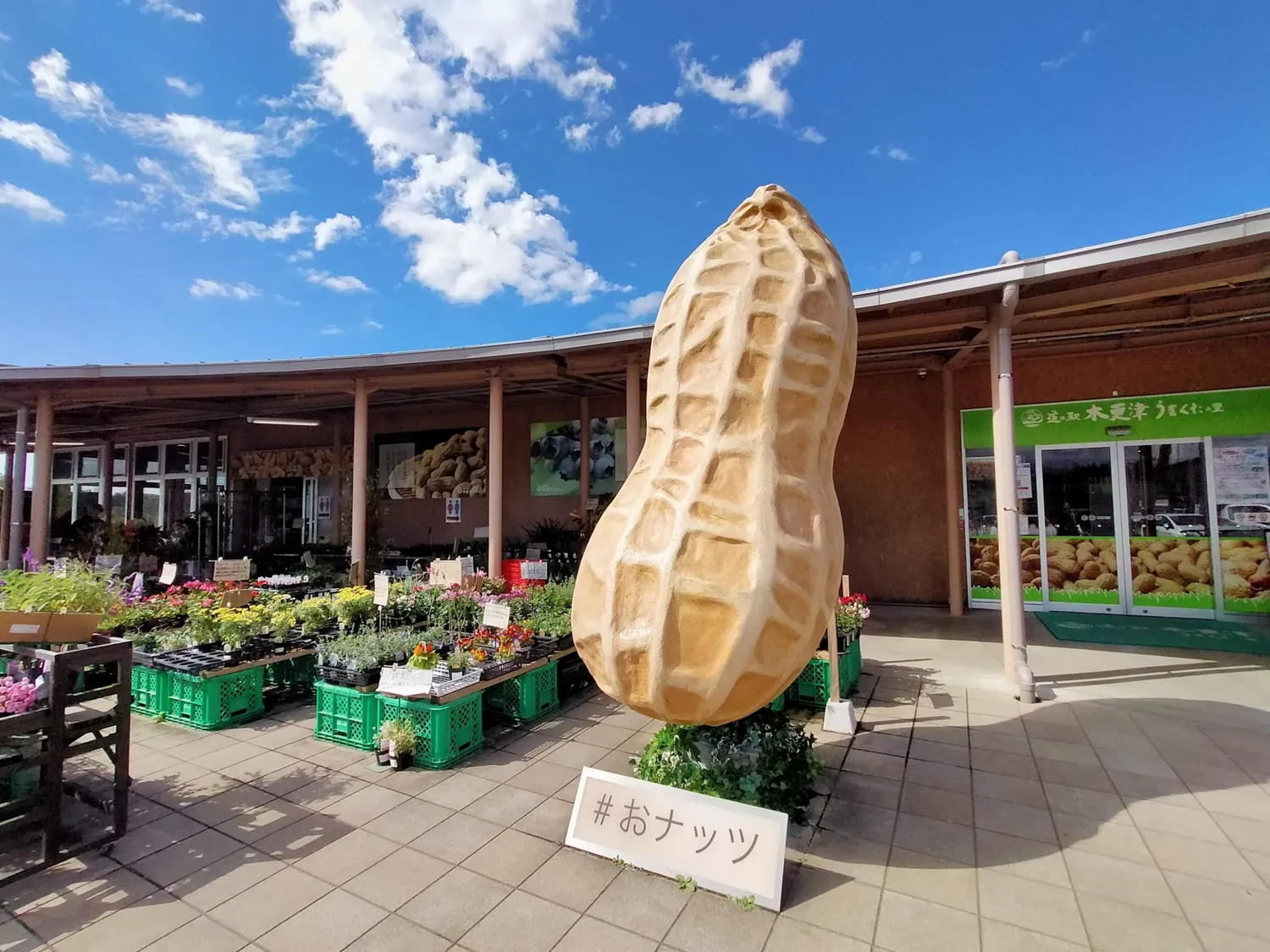 道の駅木更津うまくたの里